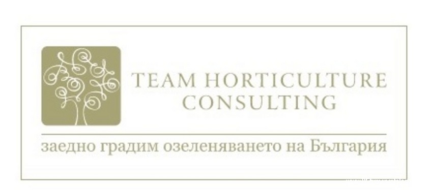 Ти ейч Консултинг ЕООД  